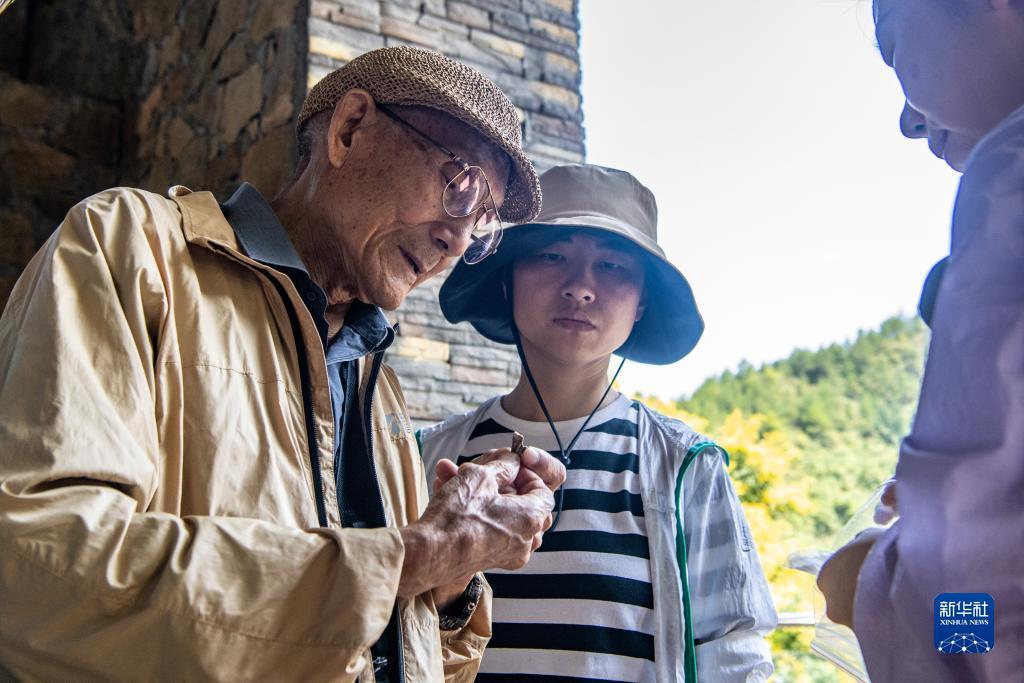 新豪游戏